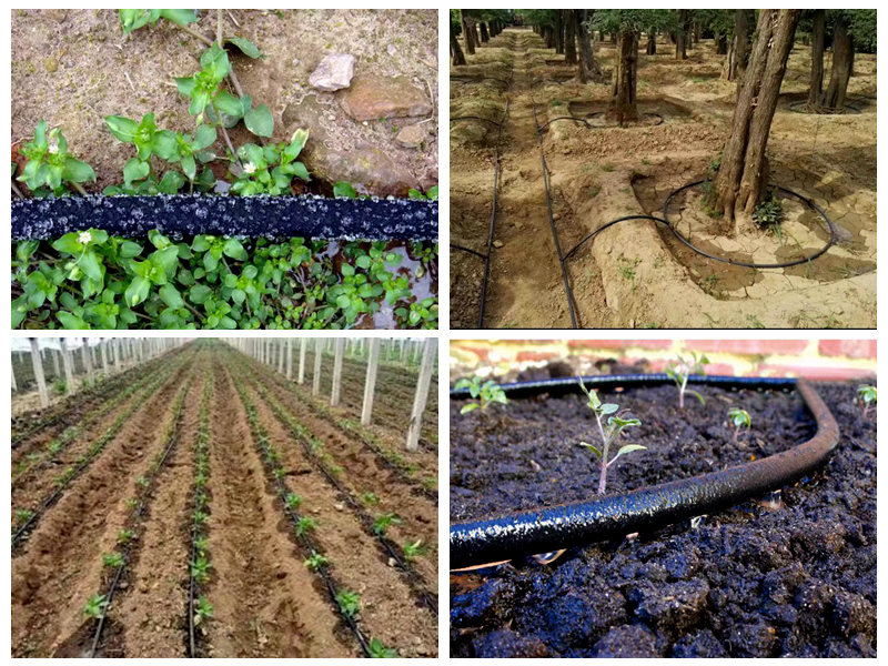 रबर सोकर नळी सिंचनासाठी कशी वापरली जाते?